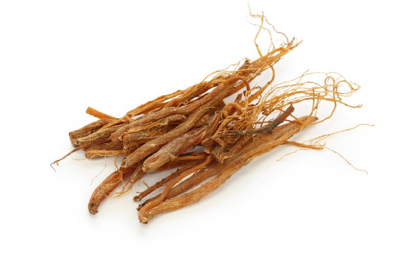 Asian Ginseng (Panax ginseng)