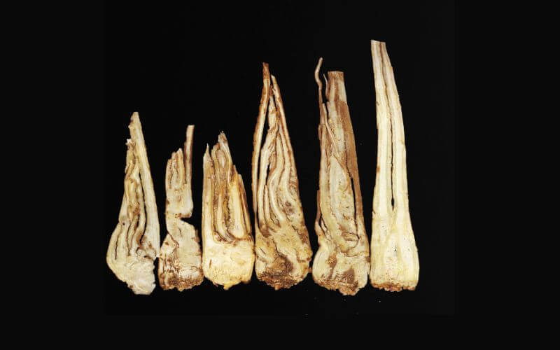 Dong Quai, also known as Angelica sinensis, is a popular Chinese herb that has been used for centuries to promote hair health and prevent hair loss.