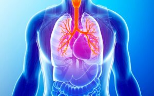 The Power of Traditional Chinese Medicine for Healthy Lungs