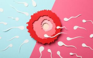 Top 12 TCM Tips For Better Fertility