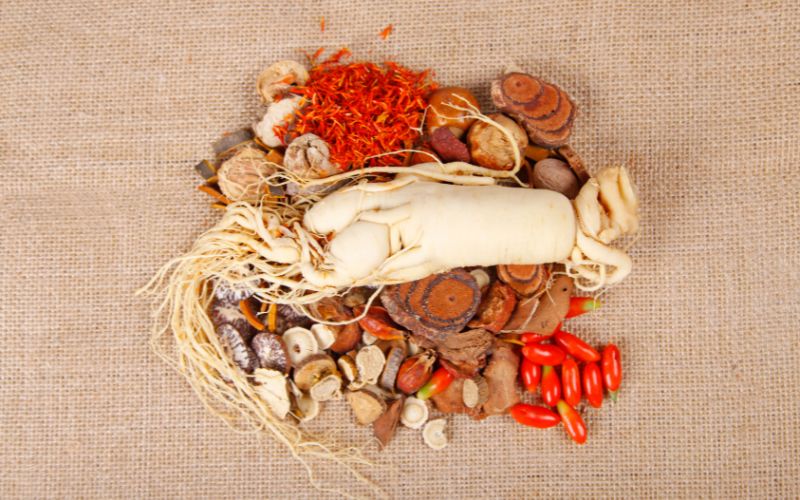 What is Traditional Chinese Medicine (TCM)